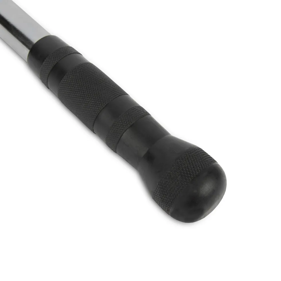 VirtuFit Bicep / Tricep Stang - Straight Bar